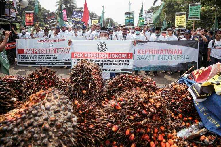 Indonesia - gobierno - mercado - exportaciones - agricultura - agua