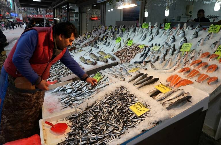 Turquía,inflación,economía,política