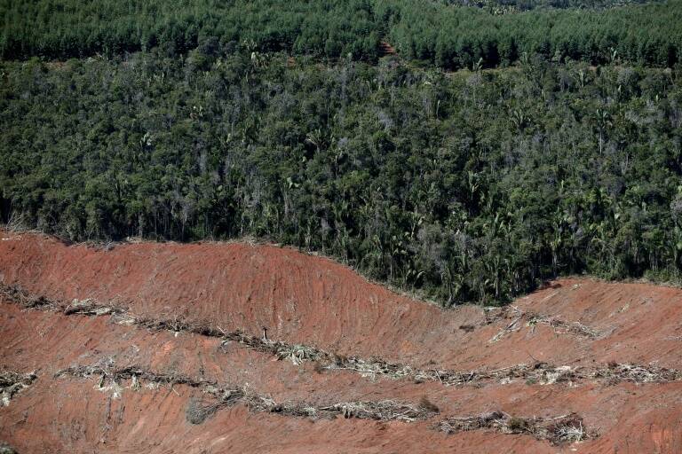 Brasil,medioambiente,agricultura,clima