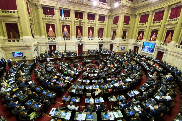 Argentina - deuda - parlamento - gobierno