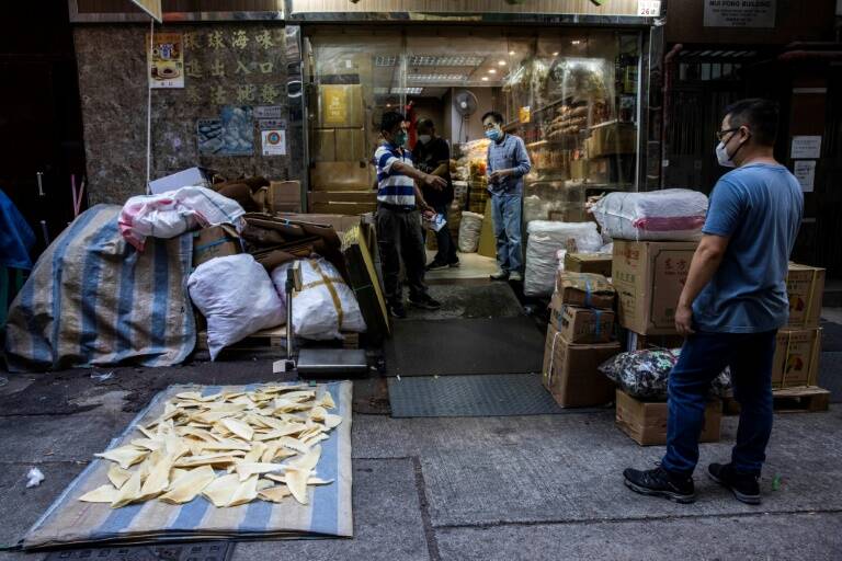 HongKong - Panamá - océanos - pesca - ecología - preservación - medioambiente - ONU - China
