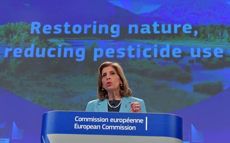 UE - pesticidas - medioambiente - contaminación - fertilizantes - preservación - agricultura - macroeconomía