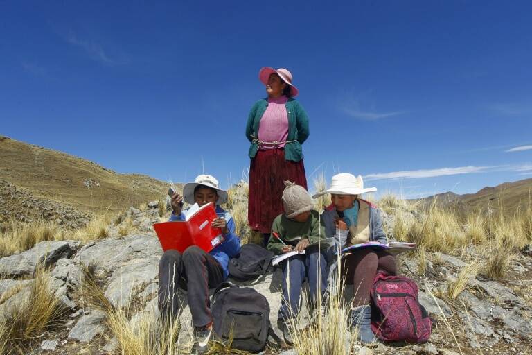 Perú,pandemia,epidemia,educación,salud,virus