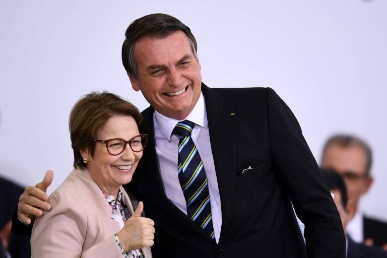 economía - agricultura - fertilizantes - Brasil