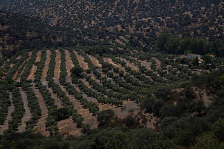 UE,agricultura,presupuesto,ambiente,fertilizantes,España,Portugal