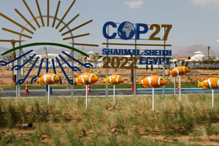 climat - environnement - sommet - climat - COP27 - ONU - environnement - sommet - climat - COP27 - ONU - environnement - sommet