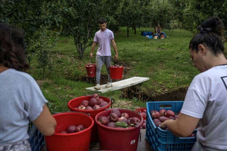 Grecia,clima,economía,inundación,agricultura