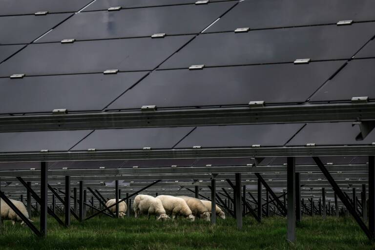 UE,medioambiente,energía,bosques
