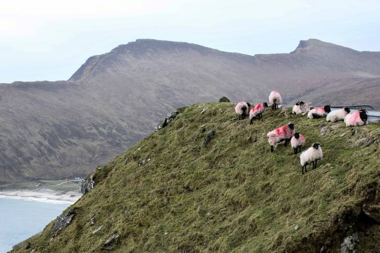 Irlanda,cine,premio,turismo,EEUU