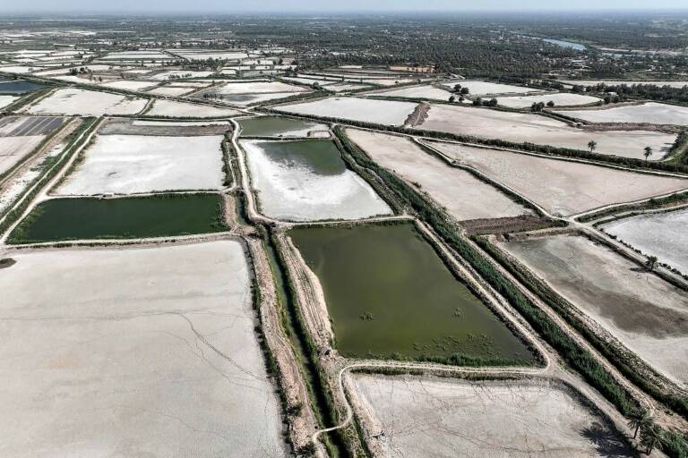 Irak,pêche,climat,sécheresse,environnement