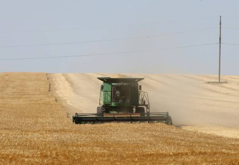 UE,importaciones,cereales,Ucrania,Rusia,conflicto,Polonia,Hungría