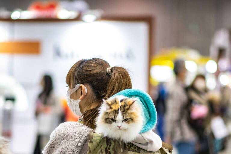 Japón,animales,IA,tecnología