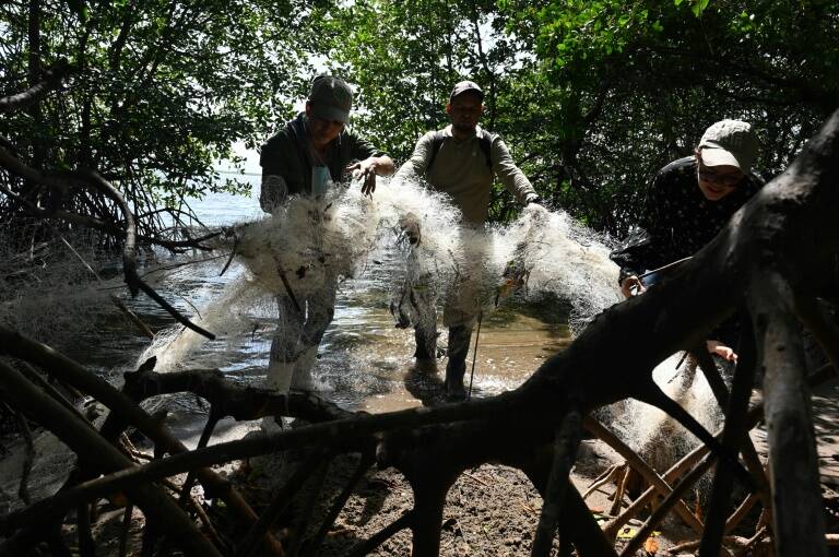 Honduras,medioambiente,naturaleza,preservación,contaminación