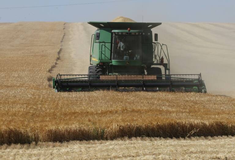 Hungría,Ucrania,Rusia,conflicto,exportaciones,agricultura,alimentación,UE,gobierno