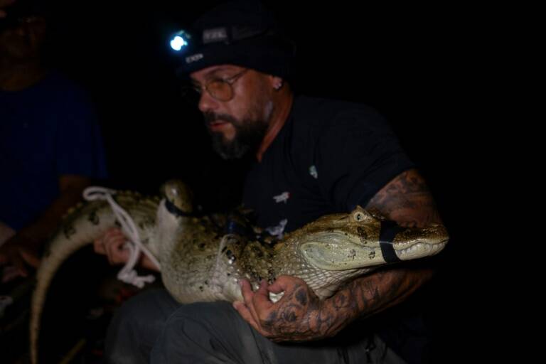 Brasil,animales,medioambiente