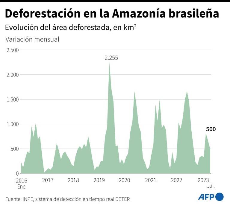 noticia