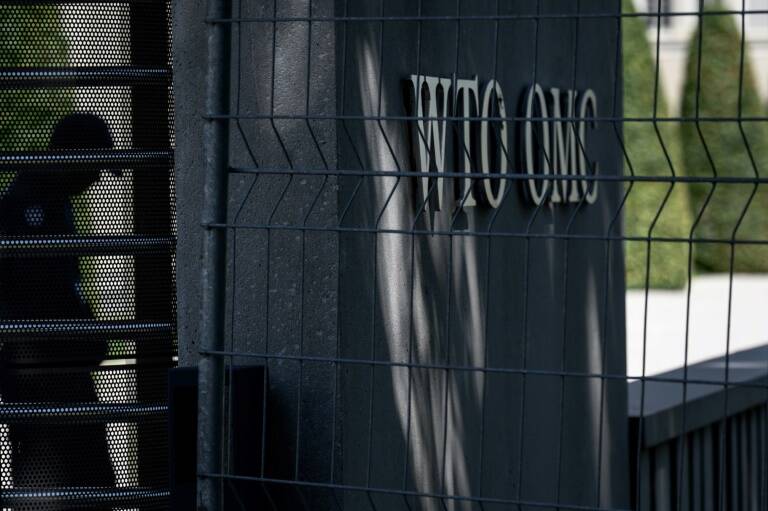 OMC - China - EEUU - comercio - siderurgia - tarifas
