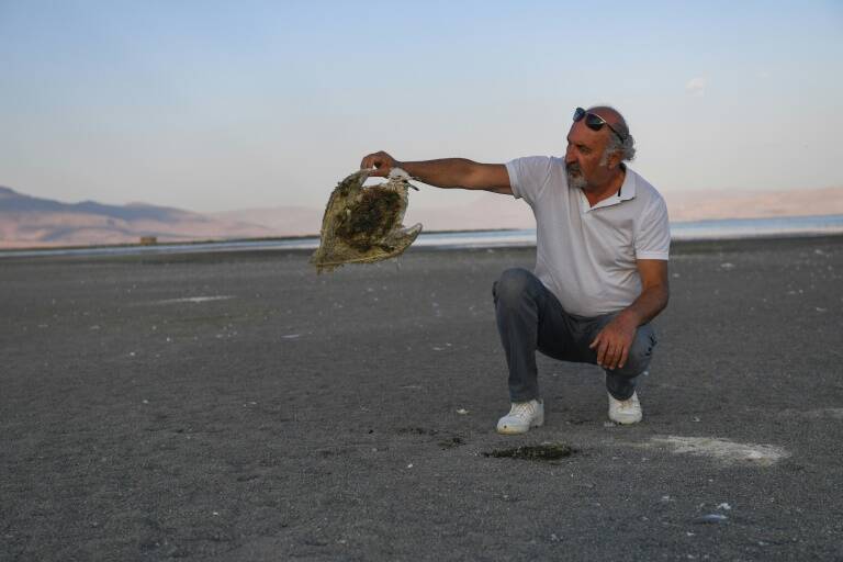 Turkey,climate,drought