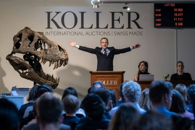 animales,paleontología,remates,Suisse