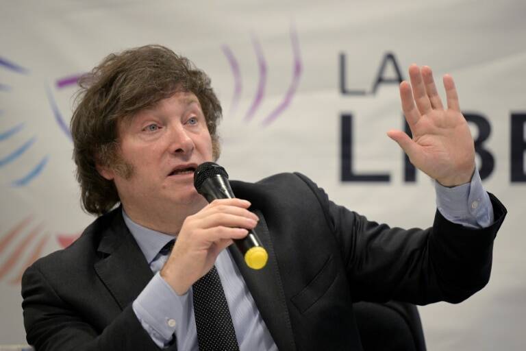 Argentina,economía,divisas,proceso,elecciones
