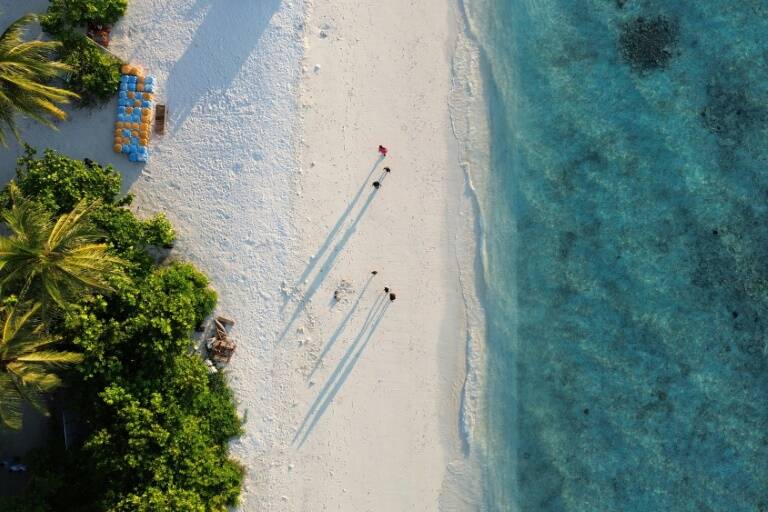 Environment,Maldives,climate