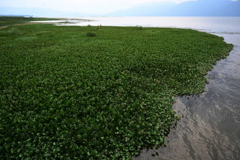Honduras,medio ambiente,clima,preservación