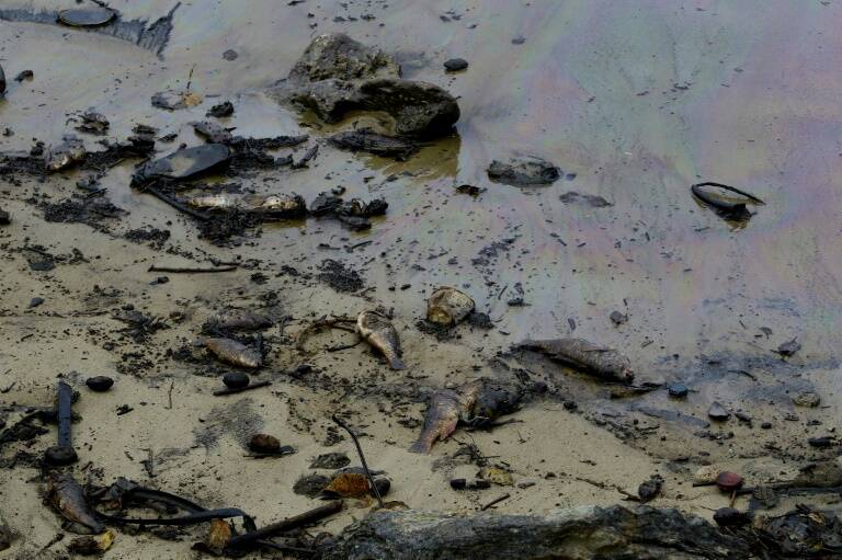 Venezuela,contaminación