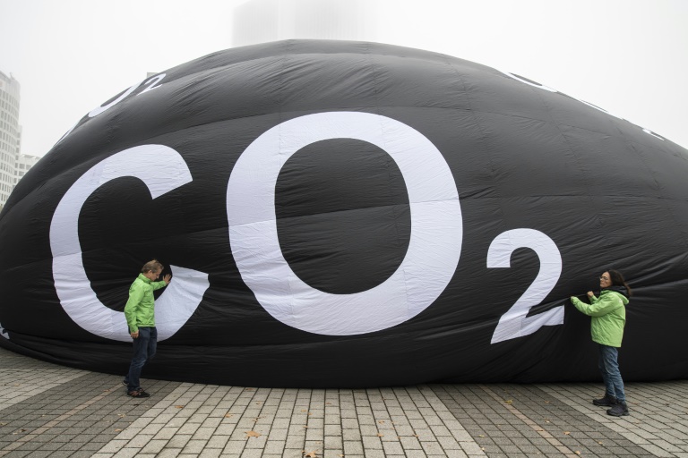ONU - clima - COP28 - Emiratos - medioambiente - mercado - mercados - bosques