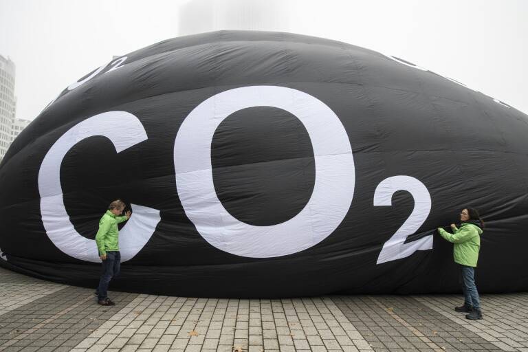 ONU,clima,COP28,Emiratos,medioambiente,mercado,mercados,bosques