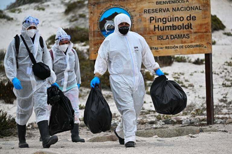 medioambiente,salud,Chile,medioambiente,salud,Chile,medioambiente,salud