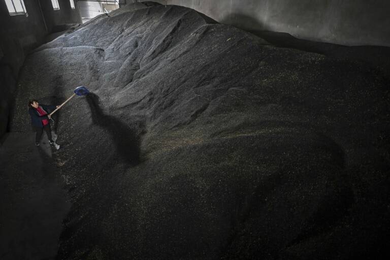 Ucrania,Bulgaria,Rusia,UE,conflicto,agricultura,mercados