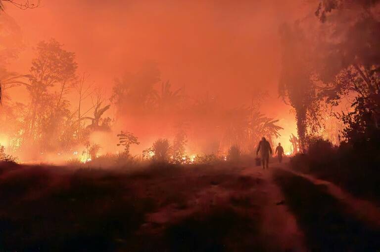 Bolivia,Francia,Venezuela,medioambiente,incendio