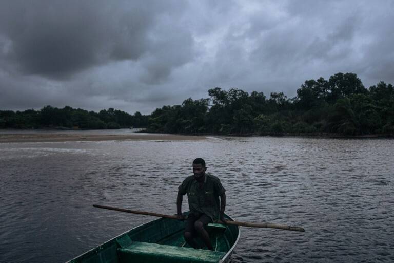 climate,environment,forests,deforestation,tropics