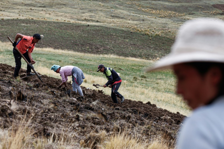 Perú,sequía,clima,agricultura