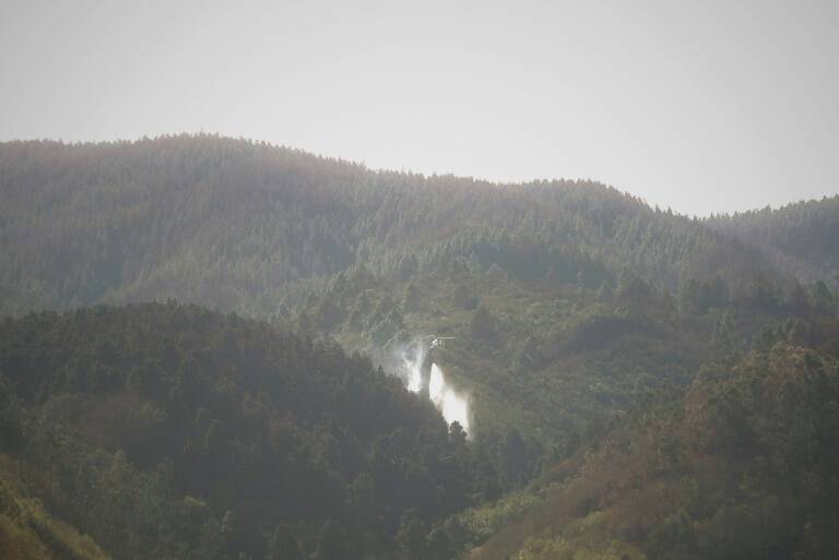 clima,medio ambiente,incendio,España