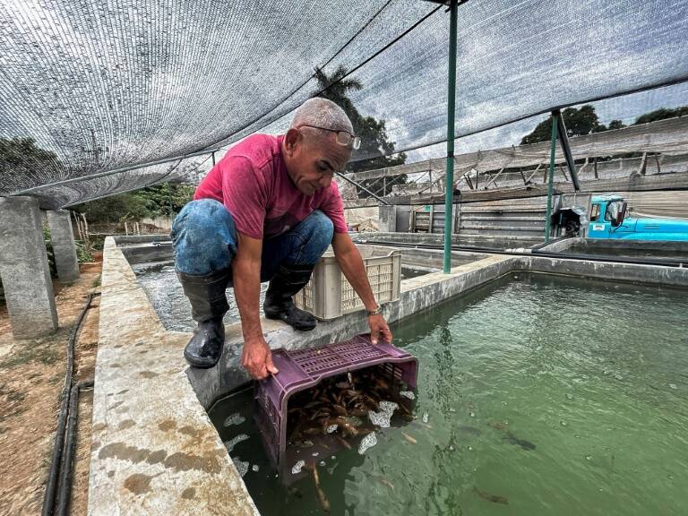 pesca,acuicultura,Cuba