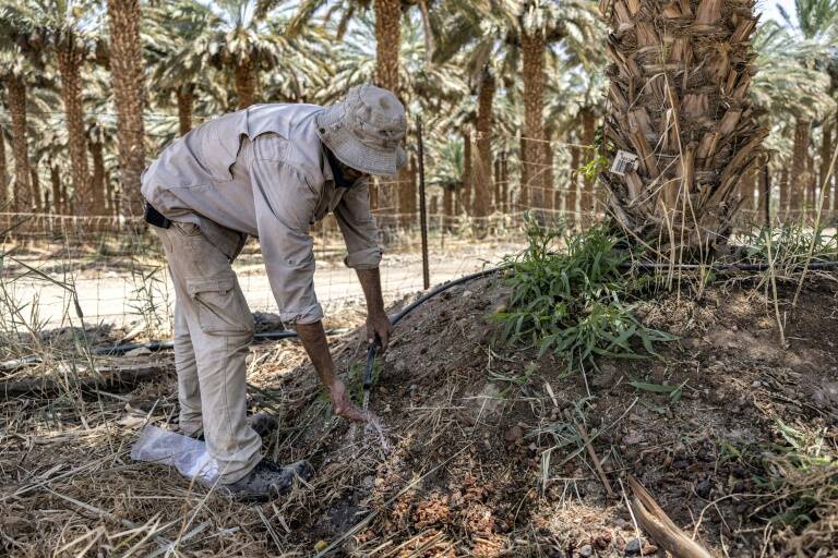 eau,climat,UNCOP28,Israël