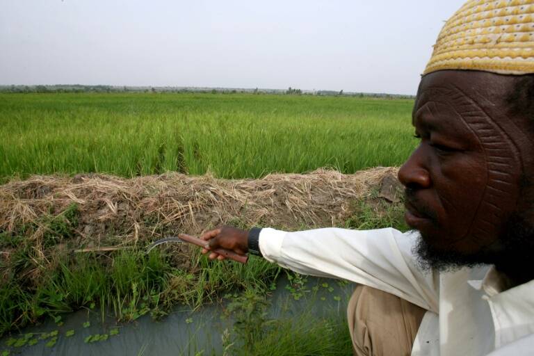 clima - Mali - Niger - conflicto - ONG - Burkina - yihadistas