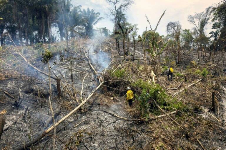 Bolivia,medioambiente,incendios