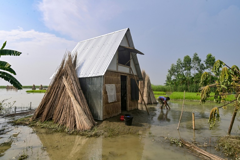 environment - Bangladesh - climate - architecture
