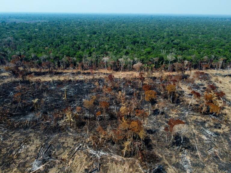 Brasil,Bolivia,Indonesia,RDC,bosques,clima,Amazonía,medioambiente