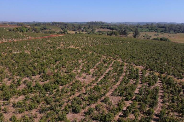 Argentina,agricultura,sequía,exportaciones,alimentos,clima