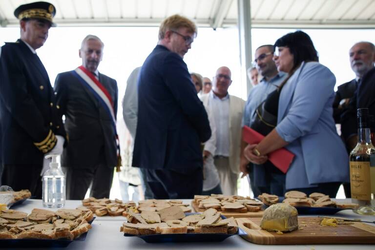 Francia,avicultura,vacunas,animales,alimentación