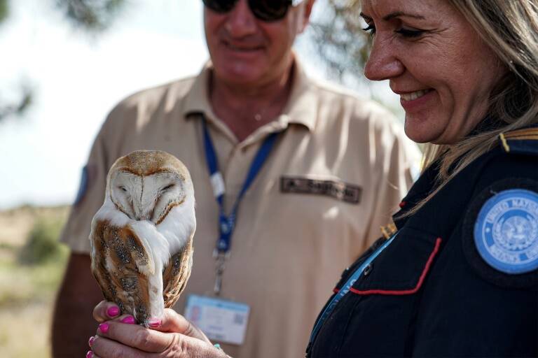 Cyprus,Animals,Environment