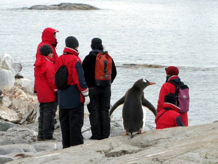 GB,animales,clima,ciencias