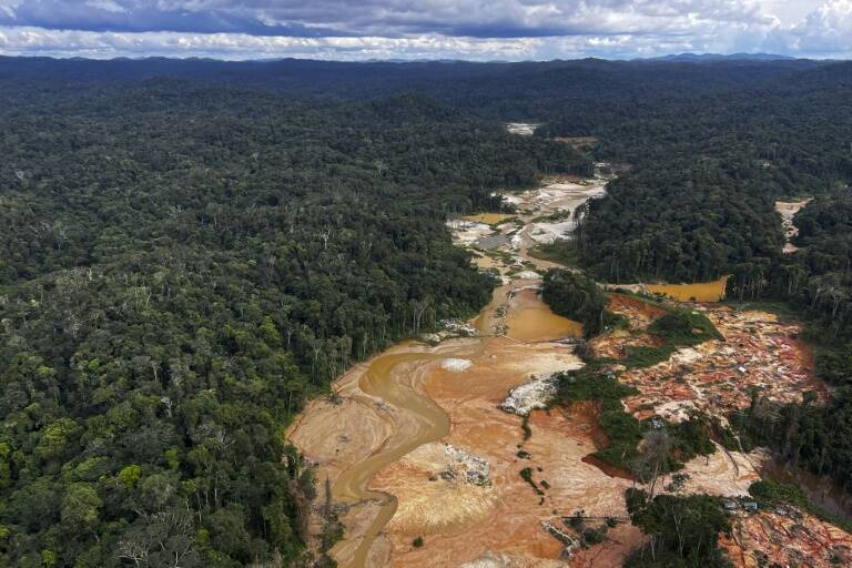 Brasil,criminalidad,yanomami,fuerzas,armadas,medioambiente