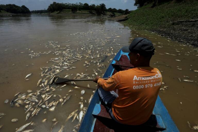 clima,Brasil,emergencia,sequía,Amazonas,Amazonía