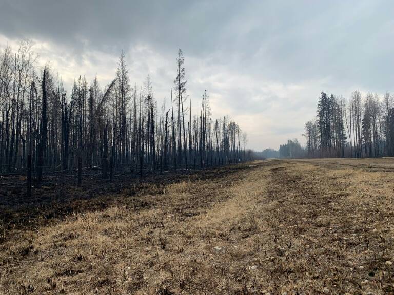 météo,incendie,climat,inondation,météo,incendie,climat,inondation,météo,incendie,climat,inondation