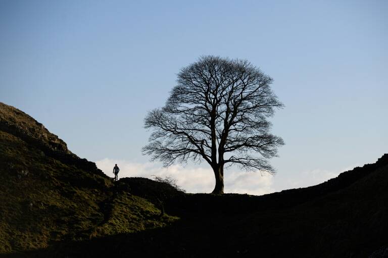 GB - environnement - nature - patrimoine