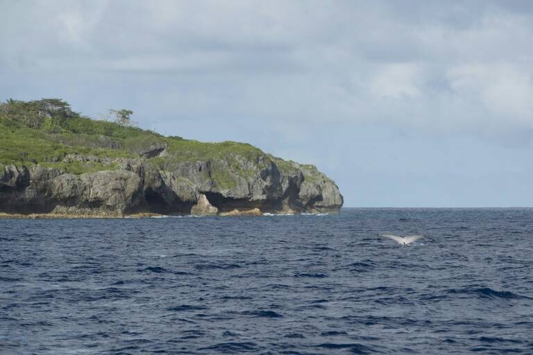 UN,summit,environment,Niue